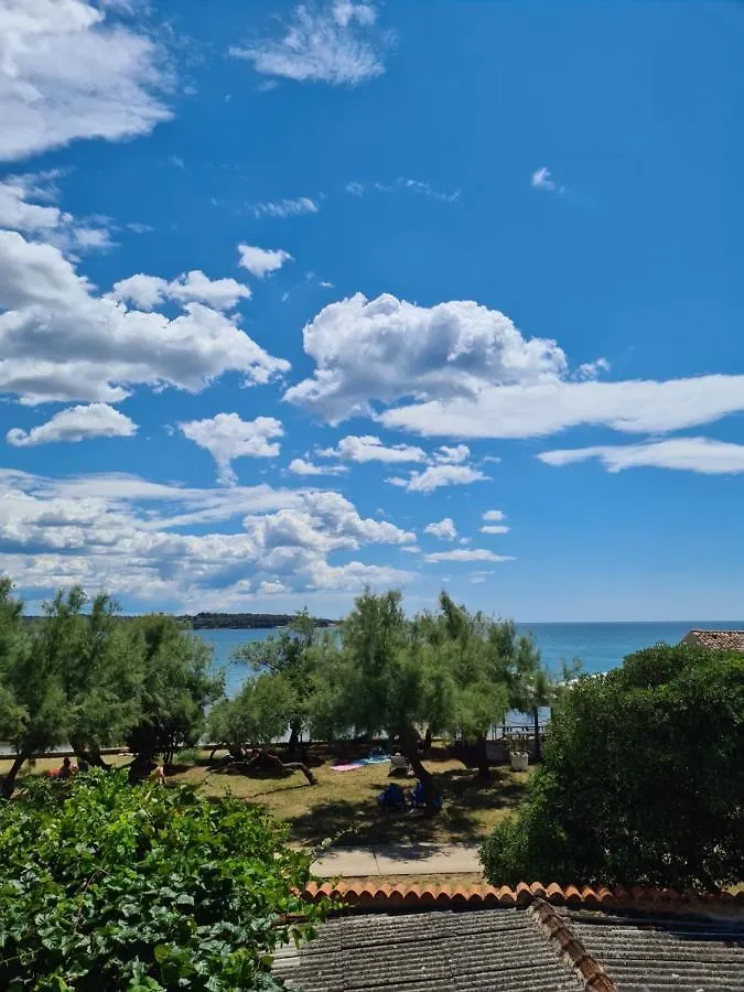 Apartman Luka Novigrad  Croatia