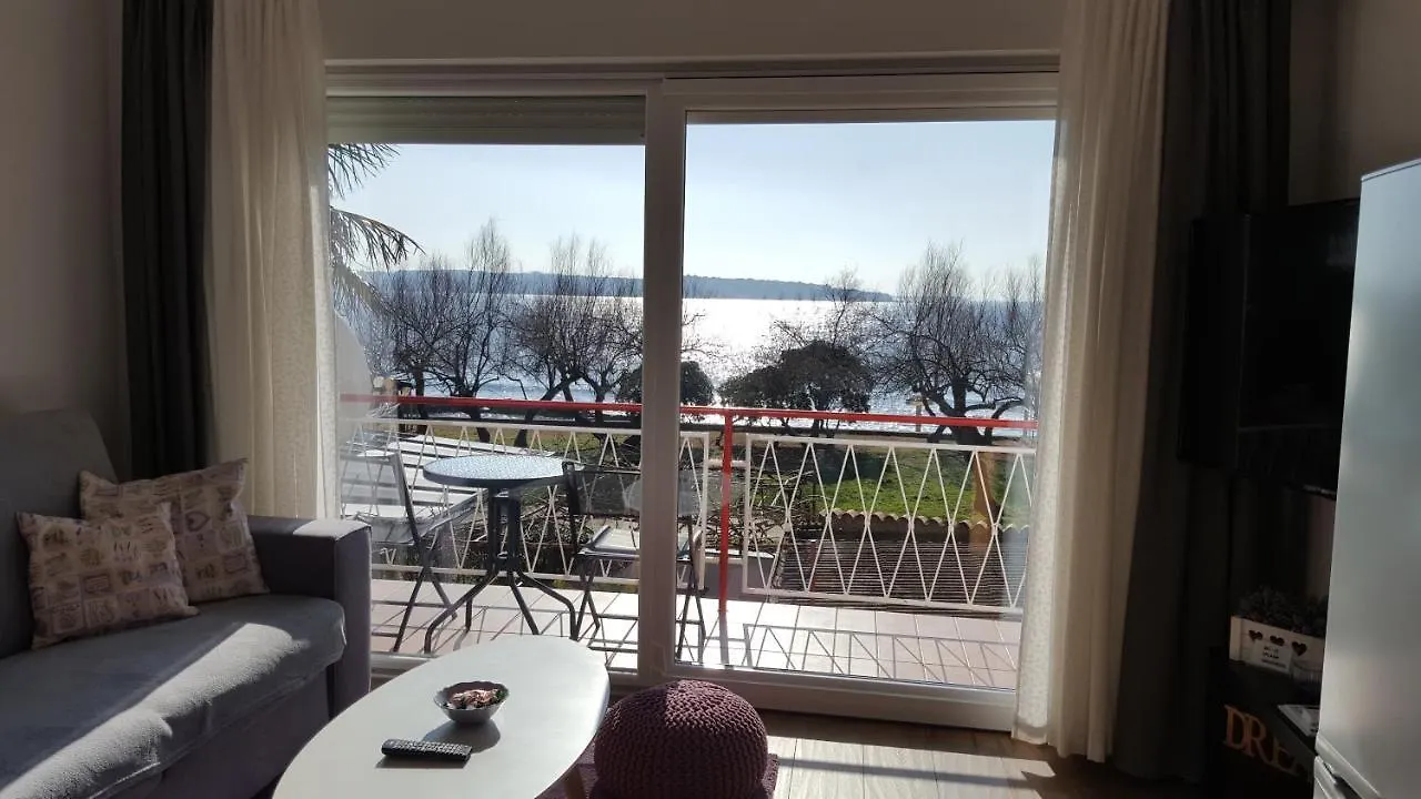 Apartman Luka Novigrad  Apartment
